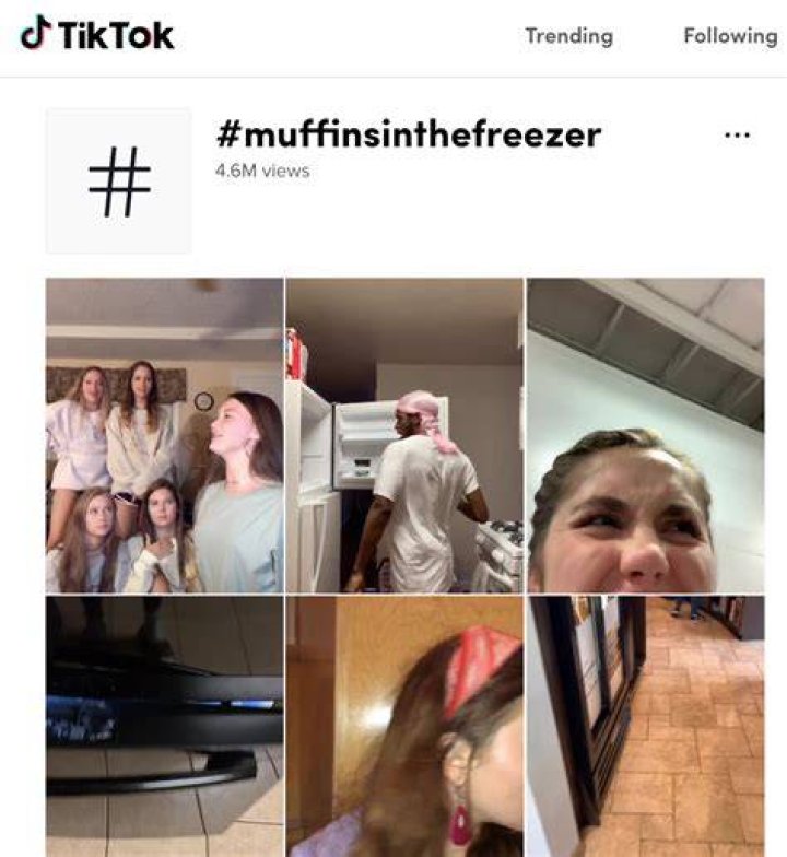 Who Put The Muffins In The Freezer TikTok & Vine Trend Explained